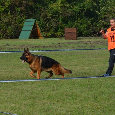 Parson - OV Teplice 2016
