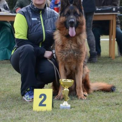 336pars Plzen2018